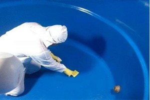 higienização de caixa d água higienização de caixa d água